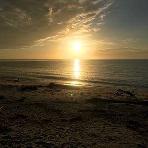 Meet your Posher, Macey